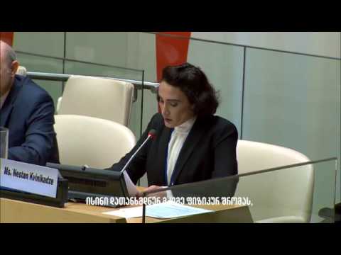 ნესტან კვინიკაძე გაეროში / Nestan Kvinikadze at the UN